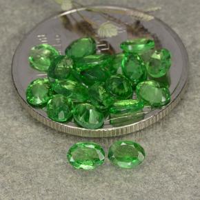 Achetez naturel 3,03ct vert grenat tsavorite gems, coupe ovale, en provenance tanzanie chez gemselect. en stock, livraison internationale!