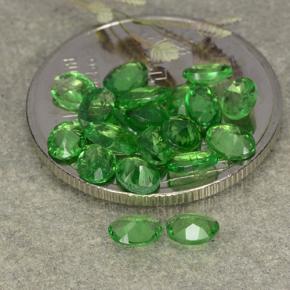 Achetez naturel 3,03ct vert grenat tsavorite gems, coupe ovale, en provenance tanzanie chez gemselect. en stock, livraison internationale!