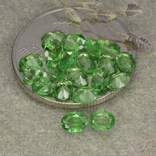 3.04ctw Naturel Vert moyen Grenat Tsavorite, ovale, VS