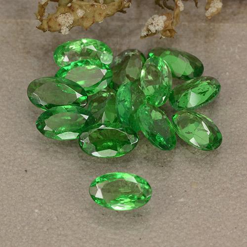 Achetez naturel 2.96ct Vert clair Grenat Tsavorite gems, Coupe ovale, En provenance Tanzanie chez GemSelect. En stock, livraison internationale!