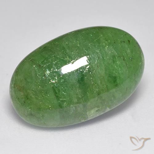 10.96ct Naturel Vert moyen Grenat Tsavorite, ovale, Translucide