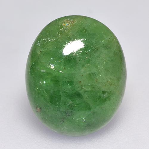 Grenat Tsavorite Vert foncé naturelle Coupe ovale, 7.56 ct, Translucide
