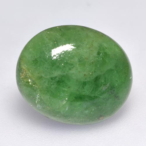 Grenat Tsavorite Vert foncé naturelle Coupe ovale, 7.56 ct, Translucide