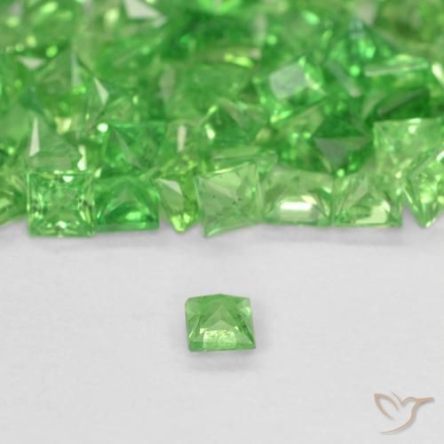 Grenat Tsavorite Vert éclatant naturelle Carré, 0.07 ct, SI