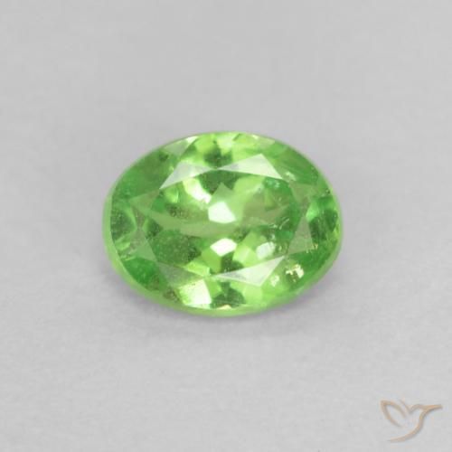 Grenat tsavorite vert naturelle coupe ovale, 0,20 ct, VS