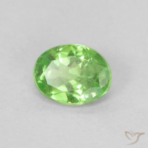 Grenat tsavorite vert naturelle coupe ovale, 0,20 ct, VS