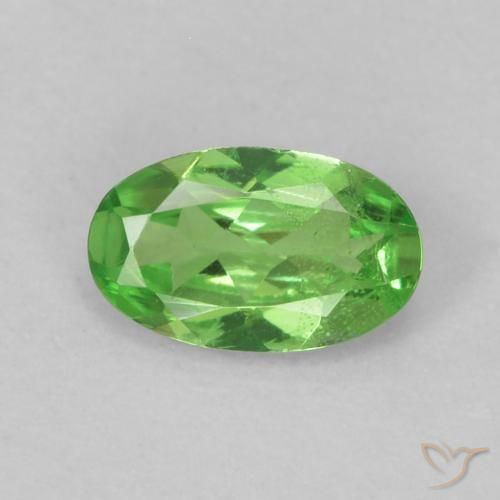 Grenat Tsavorite Vert éclatant naturelle ovale, 0.24 ct, VS