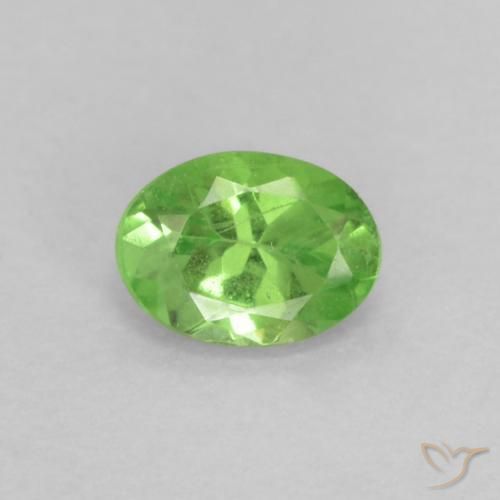 Grenat tsavorite vert naturelle coupe ovale, 0,20 ct, VS