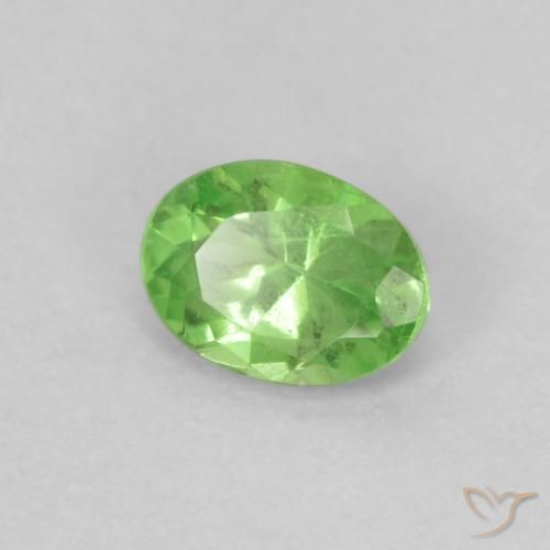 Grenat tsavorite vert naturelle coupe ovale, 0,20 ct, VS