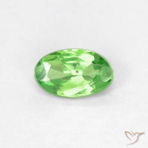 Grenat Tsavorite Vert éclatant naturelle Coupe ovale, 0.28 ct, VVS
