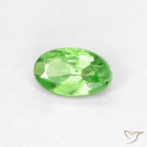 Grenat Tsavorite Vert éclatant naturelle Coupe ovale, 0.28 ct, VVS