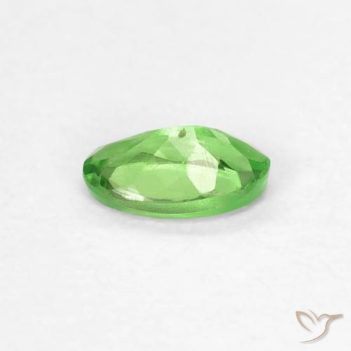 Grenat Tsavorite Vert éclatant naturelle Coupe ovale, 0.28 ct, VVS
