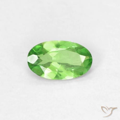 0.25ct Naturel Vert éclatant Grenat Tsavorite, ovale, VVS-VS