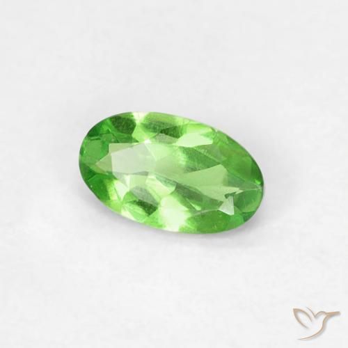 Grenat Tsavorite Vert éclatant naturelle ovale, 0.25 ct, VVS-VS