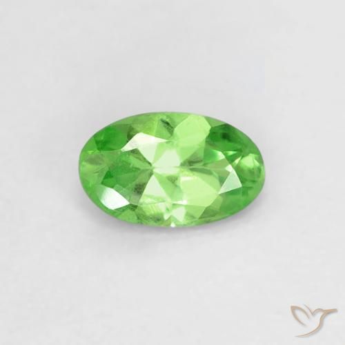 Grenat Tsavorite Vert éclatant naturelle ovale, 0.23 ct, VVS-VS