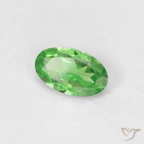 Grenat Tsavorite Vert éclatant naturelle ovale, 0.22 ct, VVS-VS