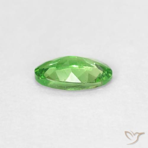 Grenat Tsavorite Vert éclatant naturelle ovale, 0.22 ct, VVS-VS