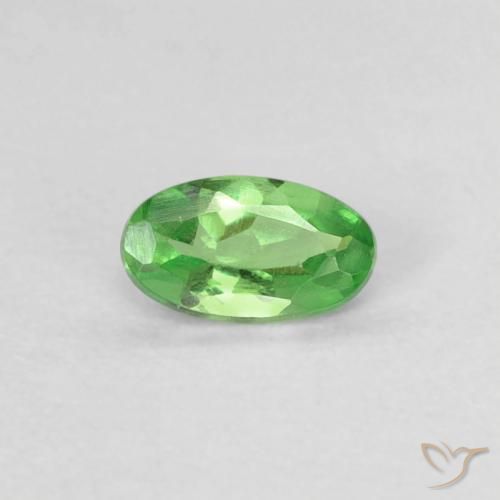 Grenat Tsavorite Vert éclatant naturelle ovale, 0.22 ct, VVS