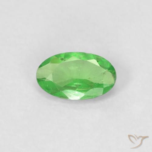 Grenat Tsavorite Vert éclatant naturelle ovale, 0.27 ct, VVS