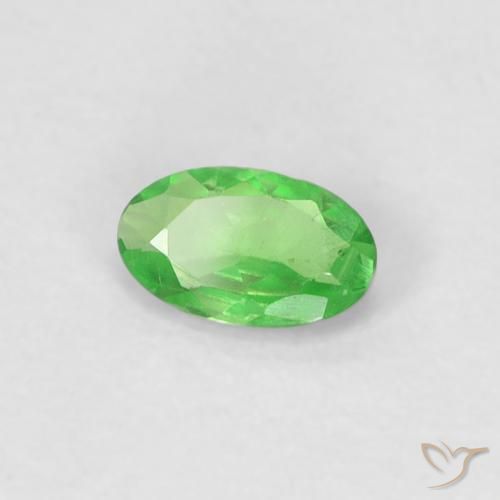 Grenat Tsavorite Vert éclatant naturelle ovale, 0.27 ct, VVS
