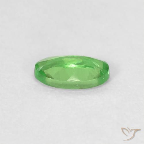 Grenat Tsavorite Vert éclatant naturelle ovale, 0.27 ct, VVS