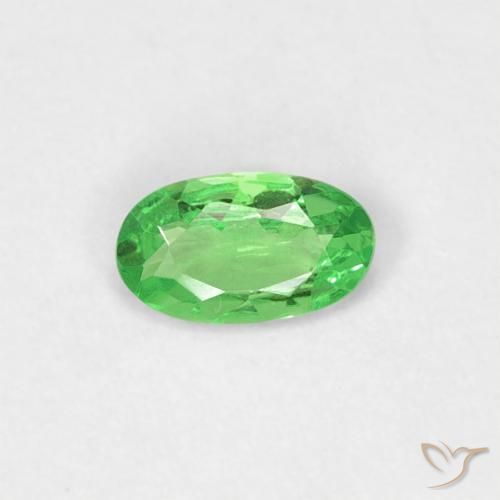 Grenat tsavorite vert naturelle coupe ovale, 0,20 ct, VVS