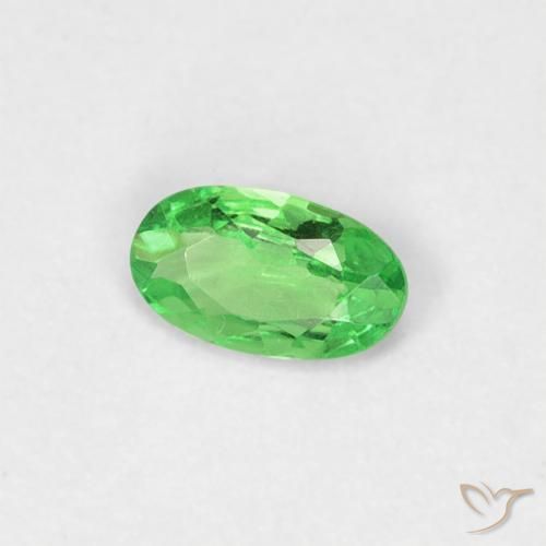 Grenat tsavorite vert naturelle coupe ovale, 0,20 ct, VVS