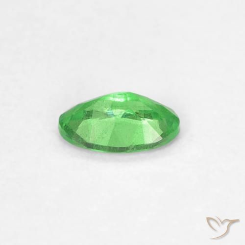 Grenat Tsavorite Vert éclatant naturelle Coupe ovale, 0.23 ct, VS