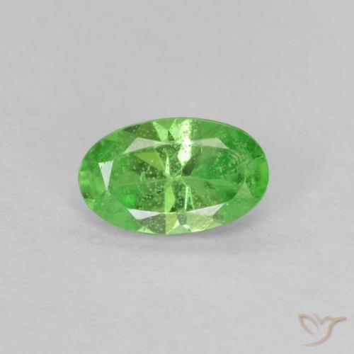 Grenat Tsavorite Vert éclatant naturelle Coupe ovale, 0.28 ct, VS