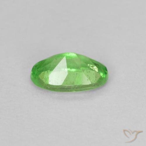 Grenat Tsavorite Vert éclatant naturelle Coupe ovale, 0.28 ct, VS
