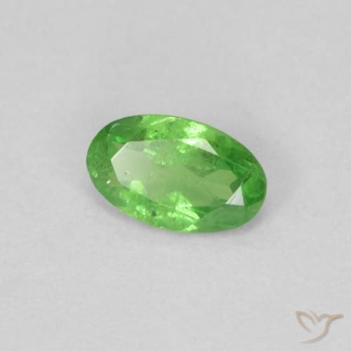 Grenat Tsavorite Vert éclatant naturelle ovale, 0.22 ct, VS