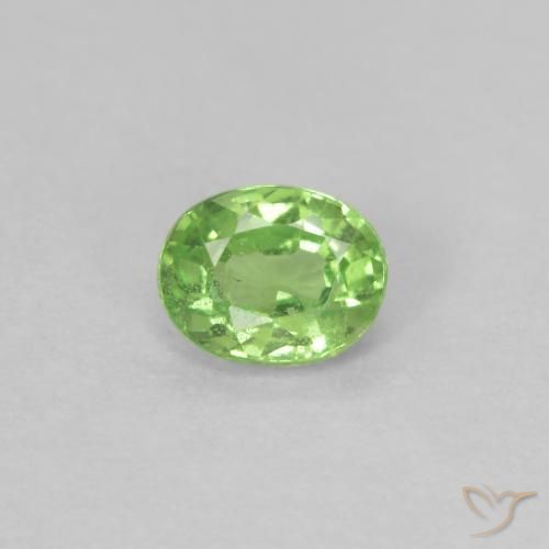Grenat Tsavorite Vert éclatant naturelle ovale, 0.22 ct, VS