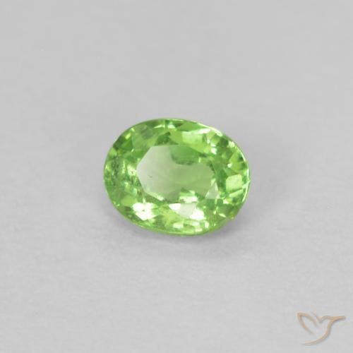 Grenat Tsavorite Vert éclatant naturelle ovale, 0.22 ct, VS