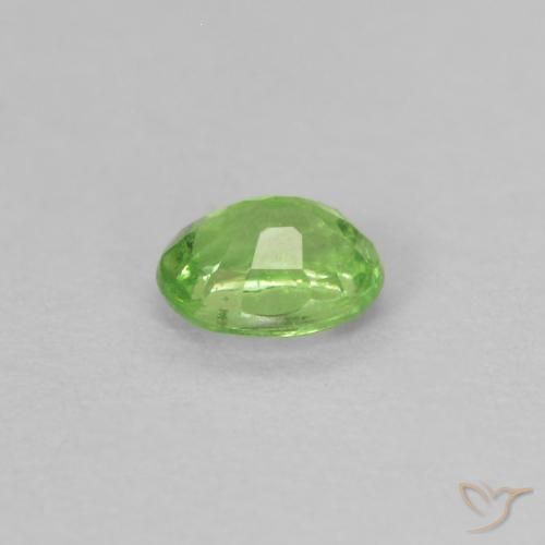 Grenat Tsavorite Vert éclatant naturelle ovale, 0.22 ct, VS