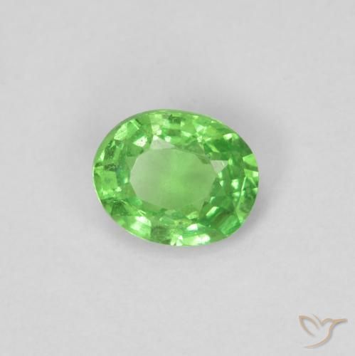 Grenat Tsavorite Vert éclatant naturelle ovale, 0.28 ct, VS