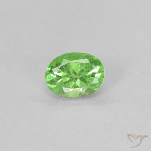 Grenat Tsavorite Vert éclatant naturelle ovale, 0.18 ct, VS