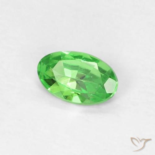 Grenat tsavorite vert naturelle coupe ovale, 0,22 ct, VVS