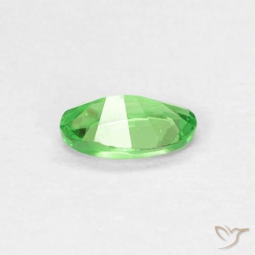 Grenat tsavorite vert naturelle coupe ovale, 0,22 ct, VVS