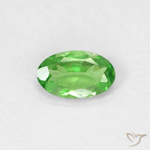 Grenat Tsavorite Vert éclatant naturelle ovale, 0.25 ct, VVS