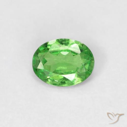 Grenat Tsavorite Vert éclatant naturelle ovale, 0.23 ct, VS