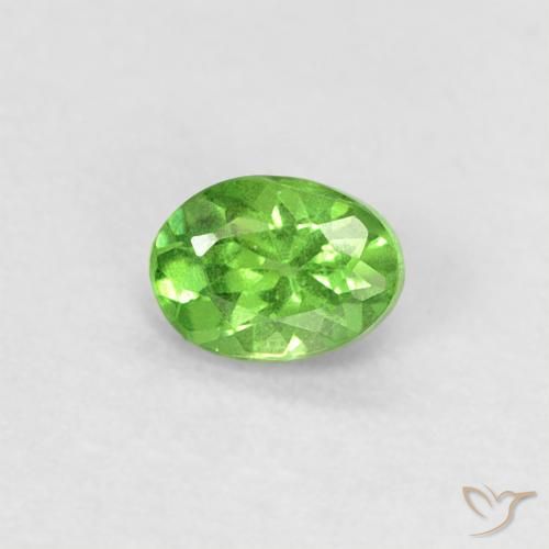 Grenat Tsavorite Vert éclatant naturelle ovale, 0.24 ct, VS