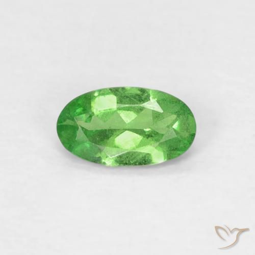 Grenat tsavorite vert naturelle coupe ovale, 0,22 ct, VS