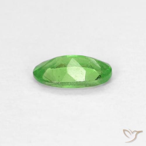 Grenat tsavorite vert naturelle coupe ovale, 0,22 ct, VS