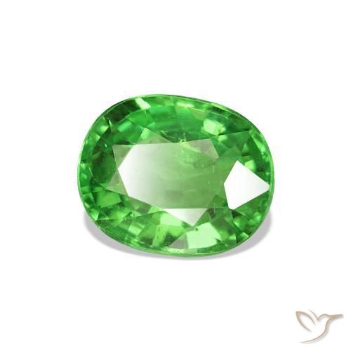 Grenat Tsavorite Vert moyen naturelle Coupe ovale, 1.38 ct, VS