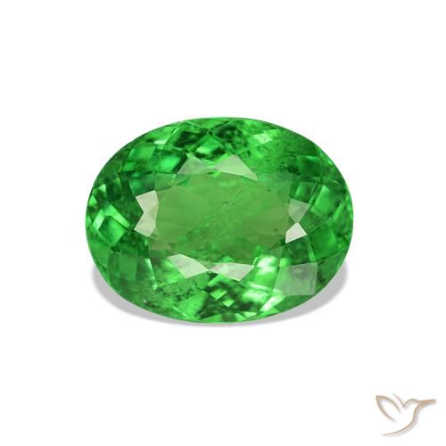 Grenat Tsavorite Vert clair naturelle Coupe ovale, 1.69 ct, VS