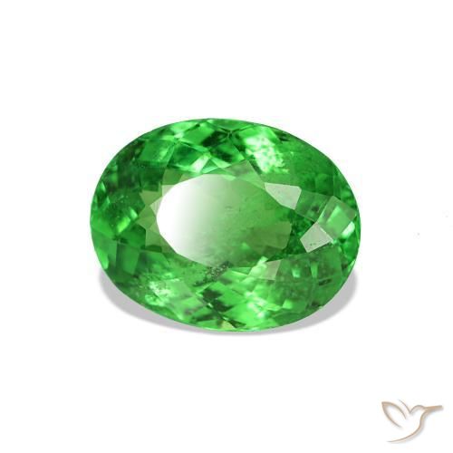 Grenat Tsavorite Vert clair naturelle Coupe ovale, 1.69 ct, VS