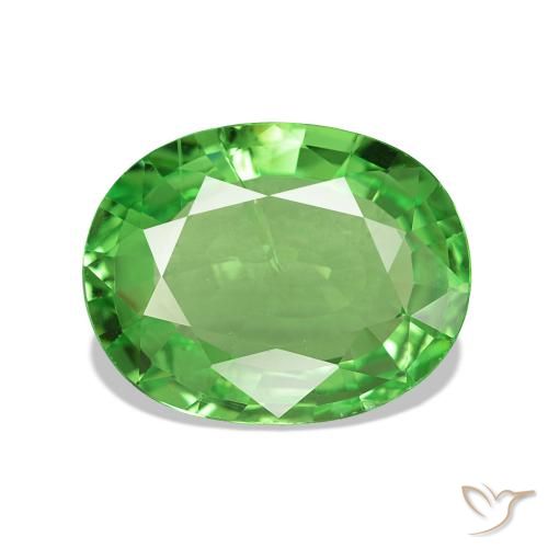 3.35ct Vert clair Grenat Tsavorite, ovale, VS-SI