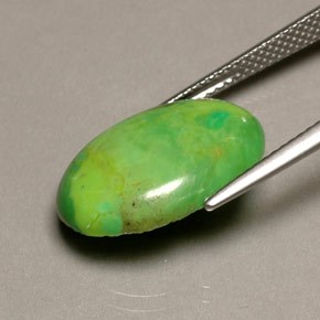 Turquoise vert naturelle coupe ovale, 5,72 ct, opaque