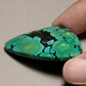 Turquoise vert naturelle forme fantaisie, 31,36 ct, opaque