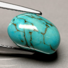 Turquoise bleue naturelle forme fantaisie, 3,66 ct, opaque